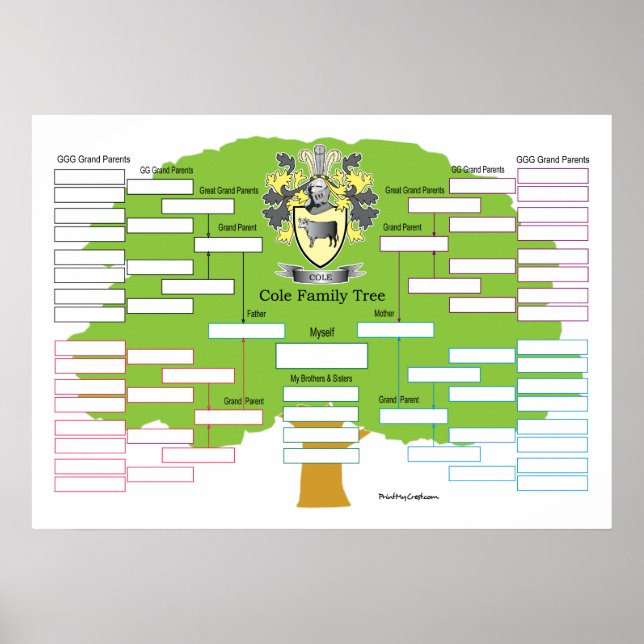 Cole Family Tree Poster (Front)