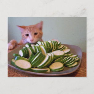 Cole in action postcard