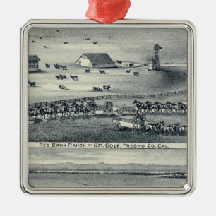 Cole Ranches Metal Ornament