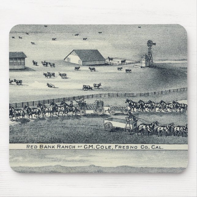 Cole Ranches Mouse Pad (Front)