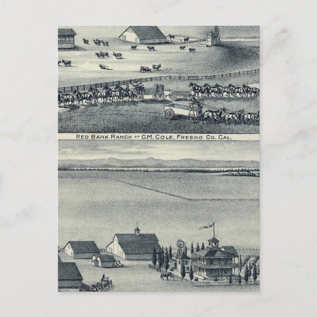 Cole Ranches Postcard (Front)