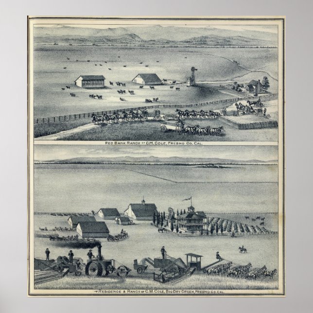 Cole Ranches Poster (Front)