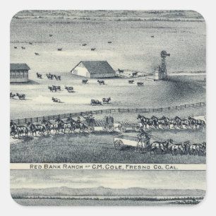 Cole Ranches Square Sticker