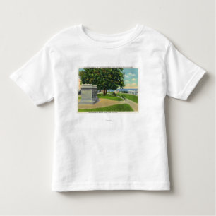 Coles Hill View of Mayflower Burial Monument Toddler T-Shirt