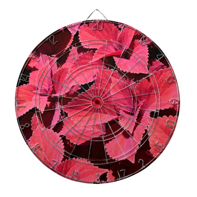 Coleus Close-up  Dartboard (Front)