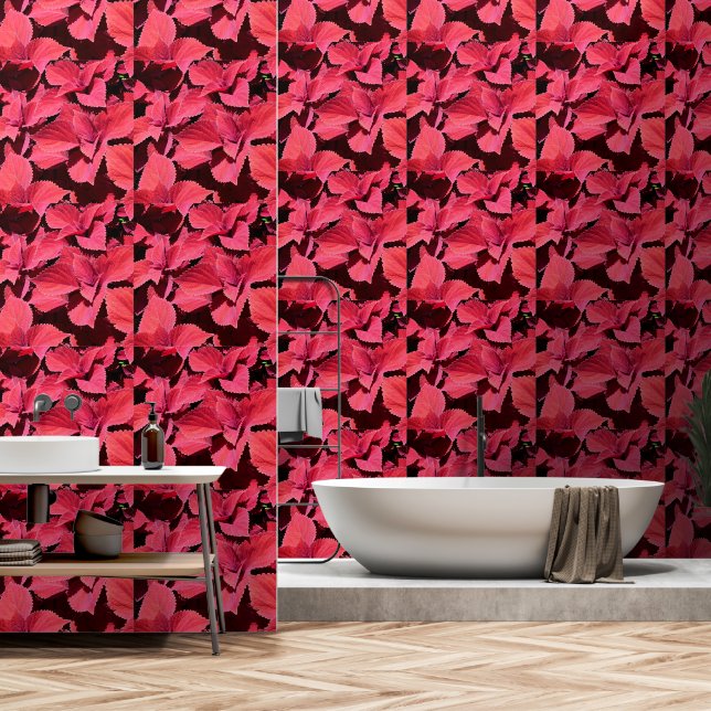 Coleus Close-up  Wallpaper (Bathroom)