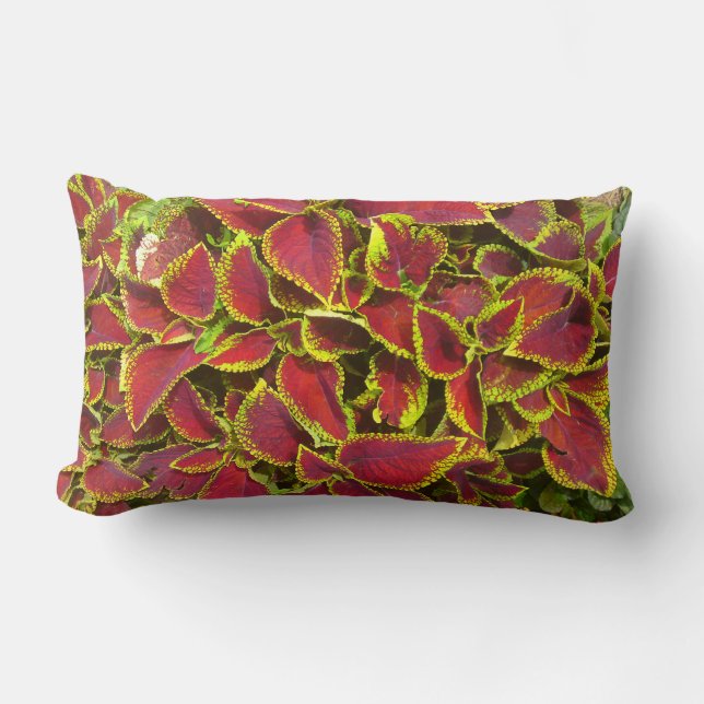 Coleus Flower Patch Pillow (Front)