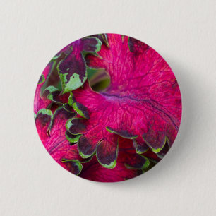 Coleus Macro 6 Cm Round Badge