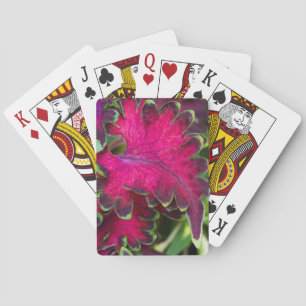 Coleus Macro Playing Cards