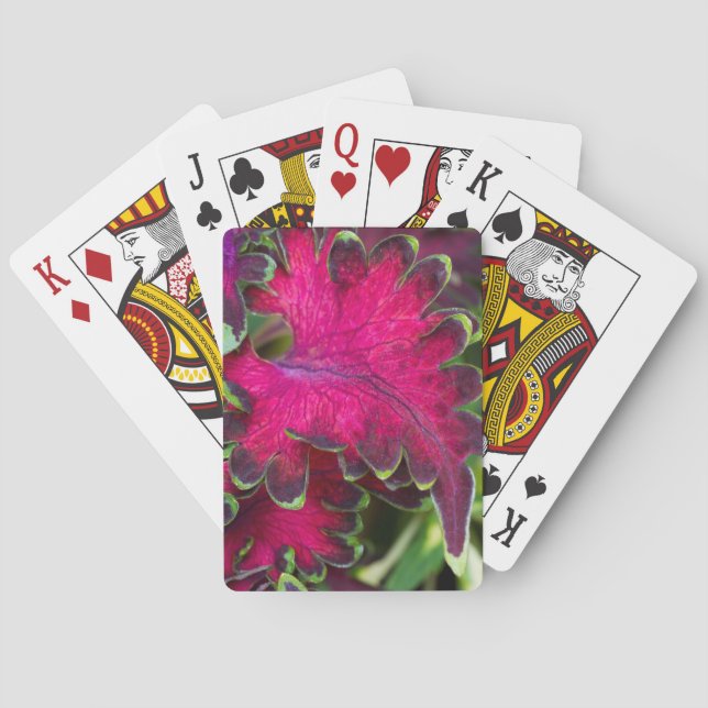 Coleus Macro Playing Cards (Back)