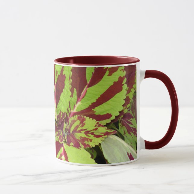 Coleus Mug (Right)