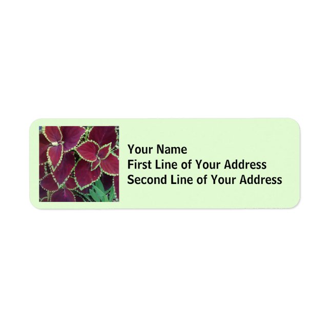 Coleus Return Address Label (Front)