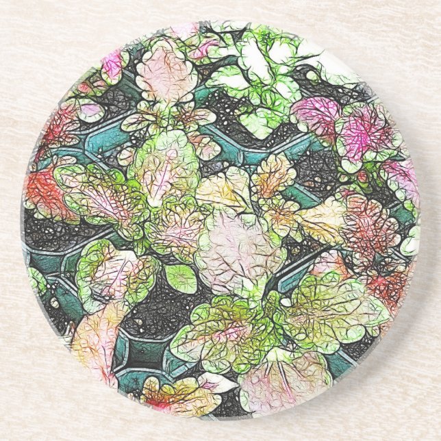 Coleus seedlings coaster (Front)