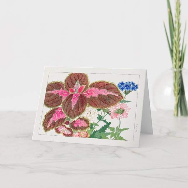 Coleus, Verbena by Tanigami Konan Card (Front)