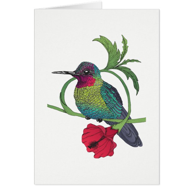 Colibri Bird Illustration Card (Front)