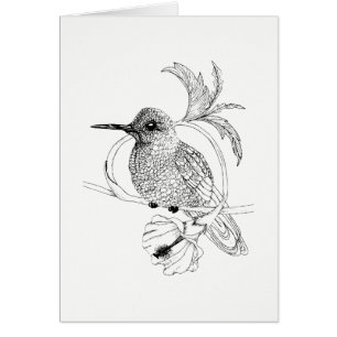 Colibri Bird Illustration Card