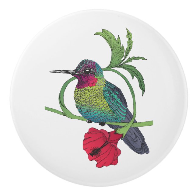 Colibri Bird Illustration Ceramic Knob (Front)