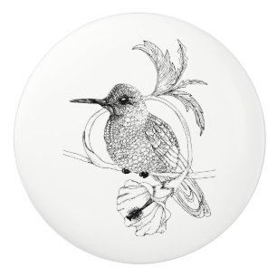 Colibri Bird Illustration Ceramic Knob