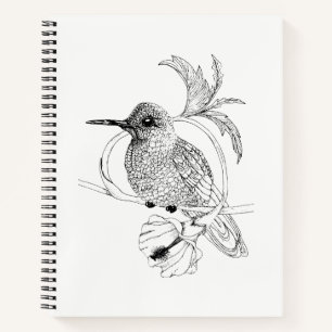 Colibri Bird Illustration Notebook