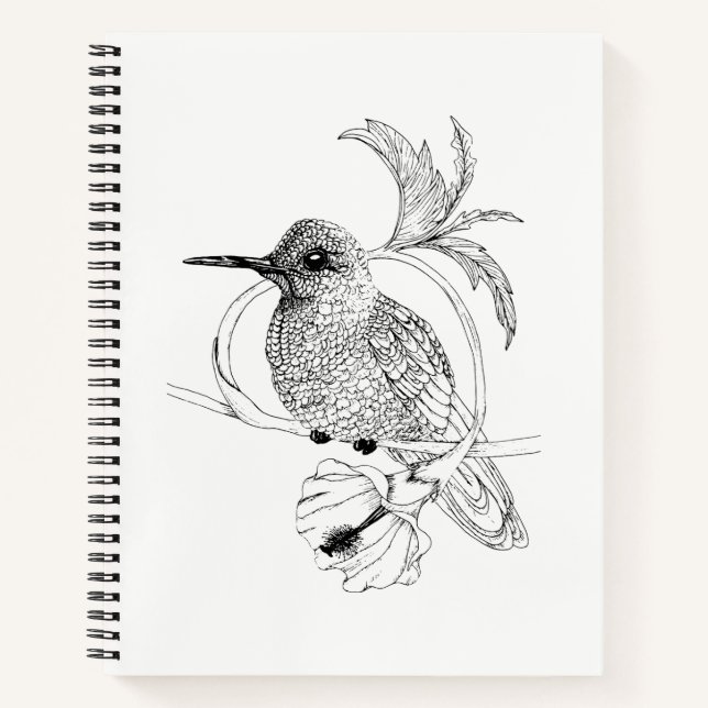 Colibri Bird Illustration Notebook (Front)