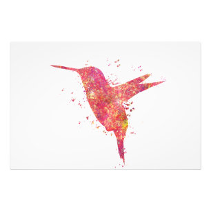 Colibri Birds Wild Forest Nature World Earth V Photo Print