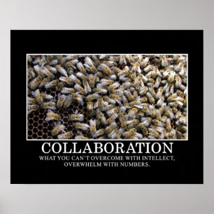 Collaboration Improves Your Chance of Success [S] Poster