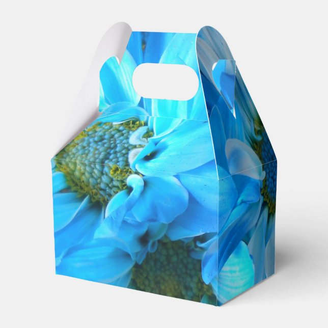 Collaert Favour Box (Back Side)