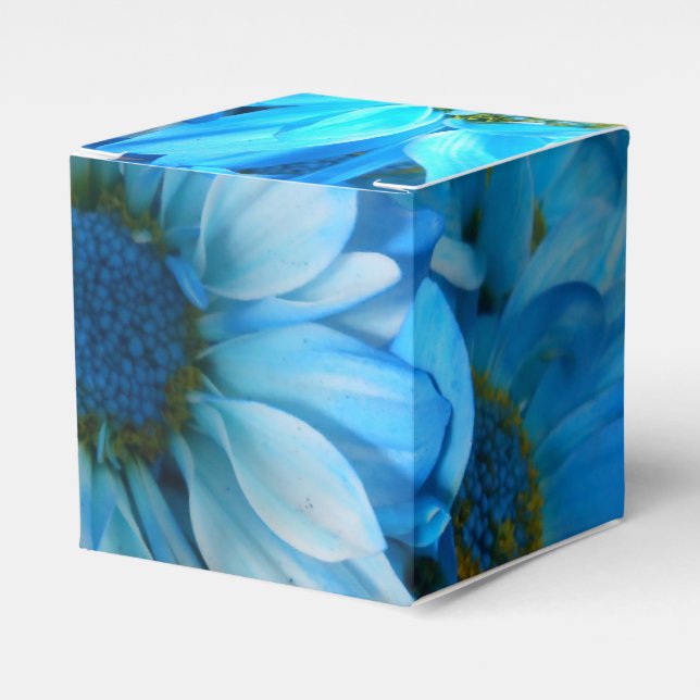 Collaert Favour Box (Front Side)