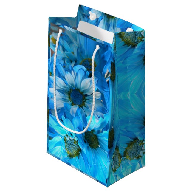 Collaert Small Gift Bag (Front Angled)