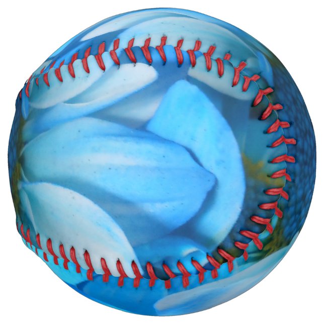 Collaert Softball (Back Left)