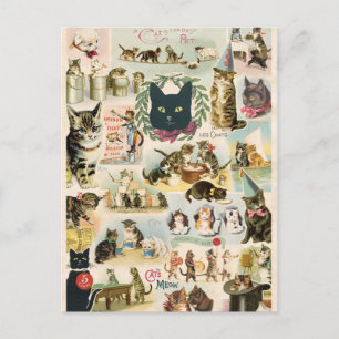 Collage chats postcard