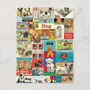 Collage chiens vintage postcard