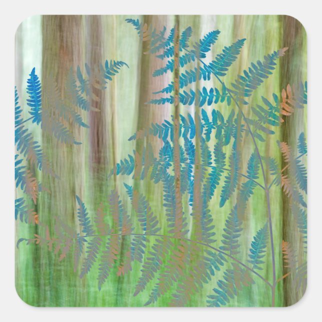 Collage of Bracken Ferns and Forest | Seabeck, WA Square Sticker (Front)