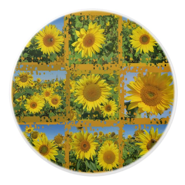 Collage of yellow sunflowers in summer, ceramic knob (Front)