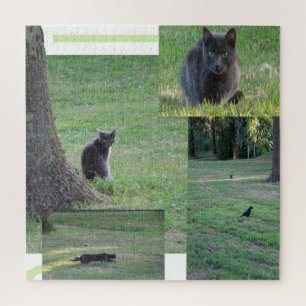 Collage Puzzle: Cat in Action Jigsaw Puzzle