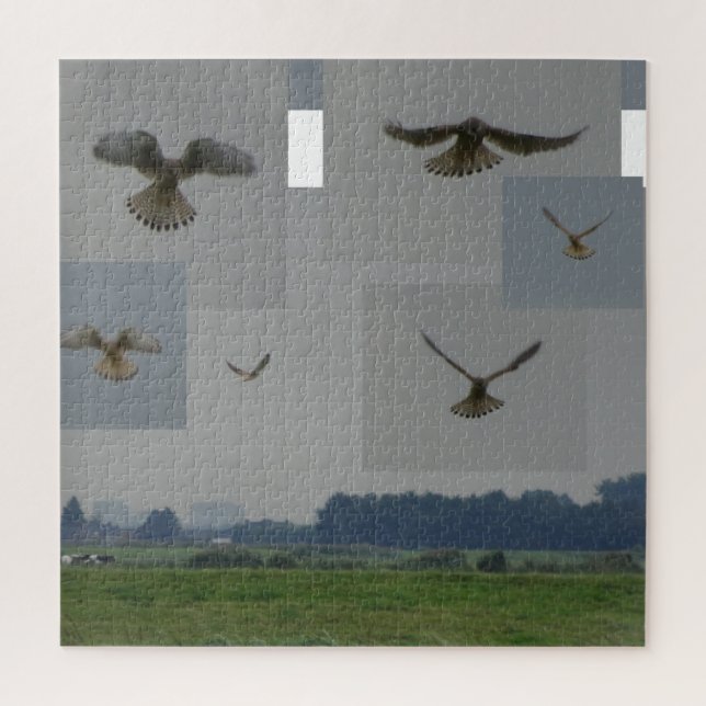 Collage Puzzle: Eemnes Polder BIRD OF PREY Jigsaw Puzzle (Vertical)