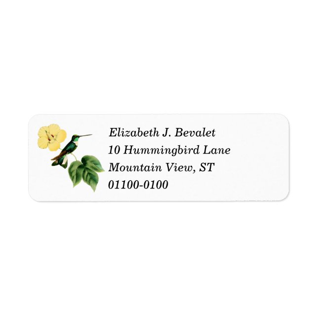 Collared Inca Hummingbird Return Address Label (Front)
