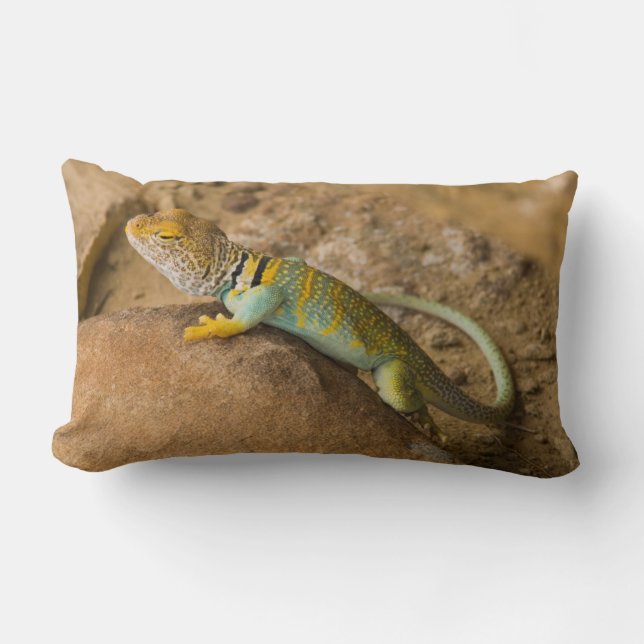 Collared Lizard Lumbar Cushion (Front)