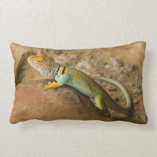 Collared Lizard Lumbar Cushion