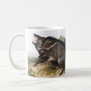 Collared Peccary Dycoteles torquatus Illustration Coffee Mug