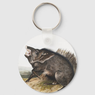 Collared Peccary Dycoteles torquatus Illustration Key Ring