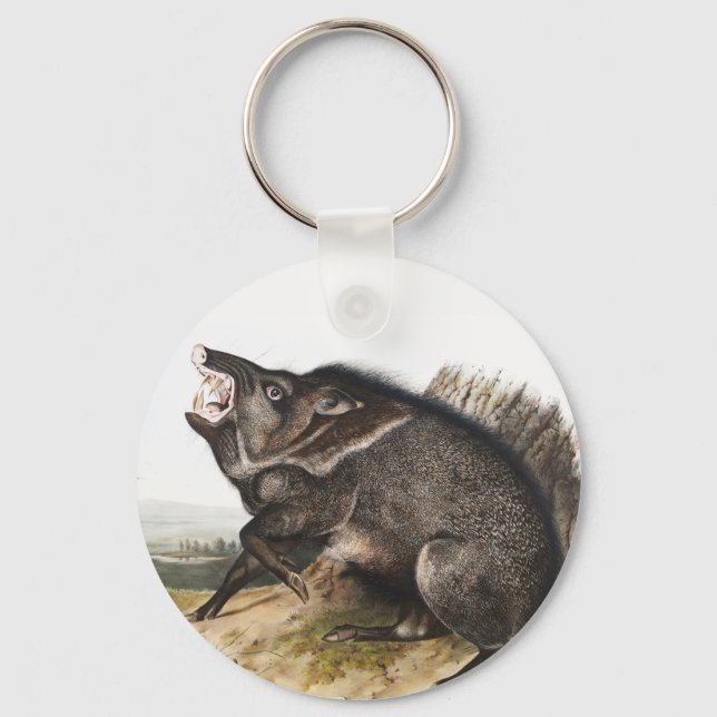 Collared Peccary Dycoteles torquatus Illustration Key Ring (Front)