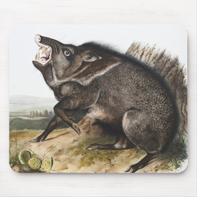 Collared Peccary Dycoteles torquatus Illustration Mouse Pad (Front)