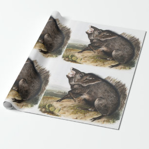Collared Peccary Dycoteles torquatus Illustration Wrapping Paper