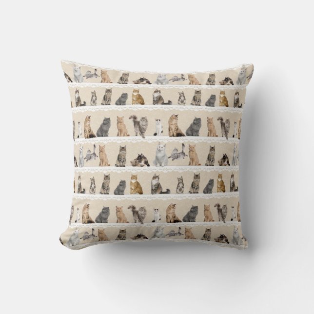 Collectable Cats Pillow (Front)
