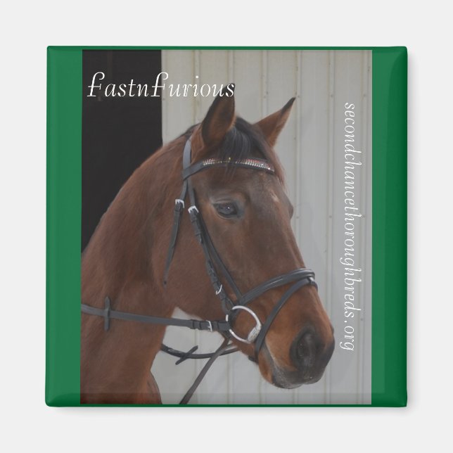 Collectable Magnet Series - FastnFurious (Front)