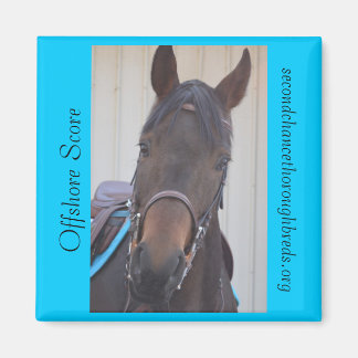 Collectable Magnet Series - Offshore Score