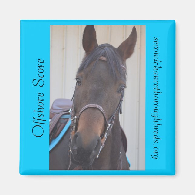 Collectable Magnet Series - Offshore Score (Front)