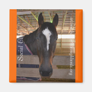 Collectable Magnet Series - Social Club