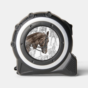 Collected Dressage Horses FEI 1